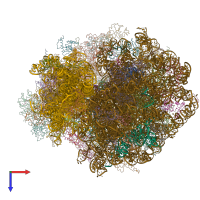 PDB entry 6gz4 coloured by chain, top view.