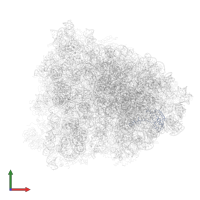 ribosomal protein eL18 in PDB entry 6gz4, assembly 1, front view.