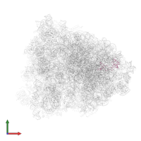 ribosomal protein eL32 in PDB entry 6gz4, assembly 1, front view.