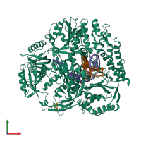 PDB entry 6h1v coloured by chain, front view.