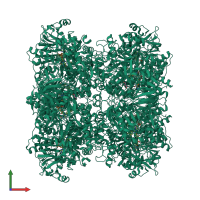 Homo octameric assembly 1 of PDB entry 6h3o coloured by chemically distinct molecules, front view.