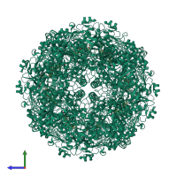 Homo octameric assembly 1 of PDB entry 6h3o coloured by chemically distinct molecules, side view.