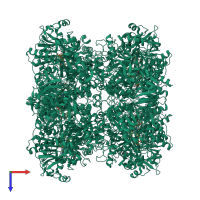 Homo octameric assembly 1 of PDB entry 6h3o coloured by chemically distinct molecules, top view.