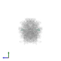 Large ribosomal subunit protein bL28 in PDB entry 6h58, assembly 1, side view.