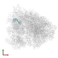 Small ribosomal subunit protein uS15 in PDB entry 6hcq, assembly 1, front view.