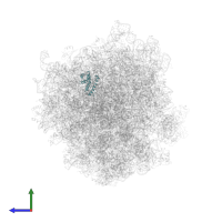 Small ribosomal subunit protein uS15 in PDB entry 6hcq, assembly 1, side view.