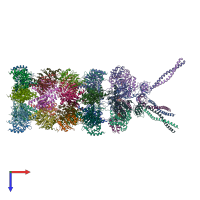 PDB entry 6he8 coloured by chain, top view.