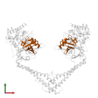 Ubiquitin in PDB entry 6hek, assembly 1, front view.