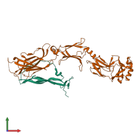 PDB entry 6hg4 coloured by chain, front view.