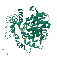 PDB entry 6hgw coloured by chain, front view.