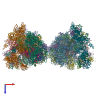 PDB entry 6hhq coloured by chain, top view.