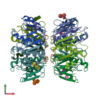 PDB entry 6hjd coloured by chain, front view.