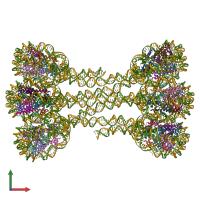 PDB entry 6hkt coloured by chain, front view.