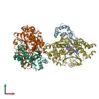 PDB entry 6hla coloured by chain, front view.