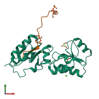 3D model of 6hm3 from PDBe