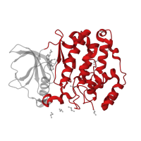 The deposited structure of PDB entry 6hmc contains 1 copy of CATH domain 1.10.510.10 (Transferase(Phosphotransferase); domain 1) in Casein kinase II subunit alpha'. Showing 1 copy in chain A.