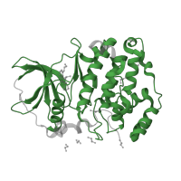 The deposited structure of PDB entry 6hmc contains 1 copy of Pfam domain PF00069 (Protein kinase domain) in Casein kinase II subunit alpha'. Showing 1 copy in chain A.