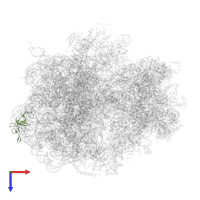 Large ribosomal subunit protein uL24 in PDB entry 6hrm, assembly 1, top view.