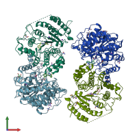 PDB entry 6hsg coloured by chain, front view.