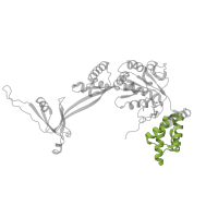 The deposited structure of PDB entry 6hts contains 3 copies of Pfam domain PF17856 (TIP49 AAA-lid domain) in RuvB-like 1. Showing 1 copy in chain E.