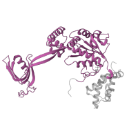 The deposited structure of PDB entry 6hts contains 3 copies of Pfam domain PF06068 (TIP49 P-loop domain) in RuvB-like 2. Showing 1 copy in chain D.