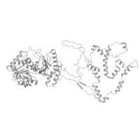 The deposited structure of PDB entry 6hts contains 1 copy of Pfam domain PF13892 (DNA-binding domain) in Chromatin-remodeling ATPase INO80. Showing 1 copy in chain G (this domain is out of the observed residue ranges!).