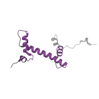 The deposited structure of PDB entry 6hts contains 2 copies of Pfam domain PF00125 (Core histone H2A/H2B/H3/H4) in Histone H2A type 1-B/E. Showing 1 copy in chain K.