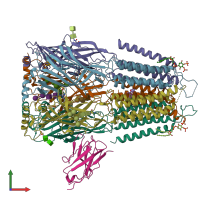 PDB entry 6hup coloured by chain, front view.