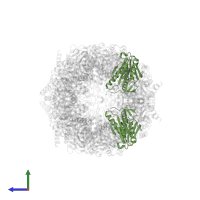 Proteasome subunit beta type-7 in PDB entry 6hv4, assembly 1, side view.