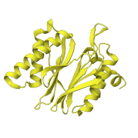The deposited structure of PDB entry 6hvs contains 2 copies of CATH domain 3.60.20.10 (Glutamine Phosphoribosylpyrophosphate, subunit 1, domain 1) in Proteasome subunit beta type-1. Showing 1 copy in chain N.