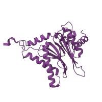 The deposited structure of PDB entry 6hvs contains 2 copies of CATH domain 3.60.20.10 (Glutamine Phosphoribosylpyrophosphate, subunit 1, domain 1) in Proteasome subunit alpha type-3. Showing 1 copy in chain B.