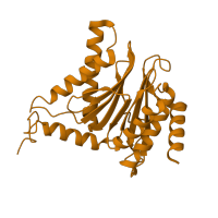 The deposited structure of PDB entry 6hvs contains 2 copies of CATH domain 3.60.20.10 (Glutamine Phosphoribosylpyrophosphate, subunit 1, domain 1) in Probable proteasome subunit alpha type-7. Showing 1 copy in chain F.