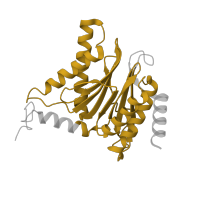 The deposited structure of PDB entry 6hvs contains 2 copies of Pfam domain PF00227 (Proteasome subunit) in Probable proteasome subunit alpha type-7. Showing 1 copy in chain T.