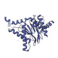 The deposited structure of PDB entry 6hvs contains 2 copies of CATH domain 3.60.20.10 (Glutamine Phosphoribosylpyrophosphate, subunit 1, domain 1) in Proteasome subunit alpha type-1. Showing 1 copy in chain G.