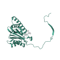 The deposited structure of PDB entry 6hvs contains 2 copies of CATH domain 3.60.20.10 (Glutamine Phosphoribosylpyrophosphate, subunit 1, domain 1) in Proteasome subunit beta type-10. Showing 1 copy in chain H.