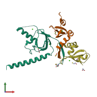 PDB entry 6hw2 coloured by chain, front view.
