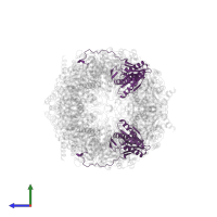 Proteasome subunit beta type-2 in PDB entry 6hw9, assembly 1, side view.