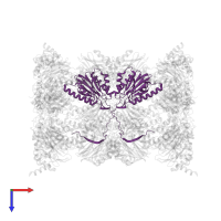 Proteasome subunit beta type-2 in PDB entry 6hw9, assembly 1, top view.