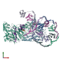 PDB entry 6hy0 coloured by chain, front view.