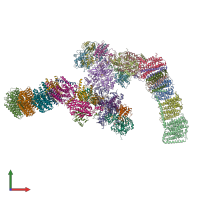 PDB entry 6i1p coloured by chain, front view.