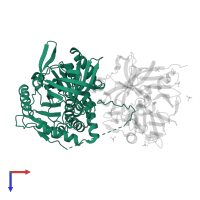 Angiotensinogen in PDB entry 6i3f, assembly 1, top view.