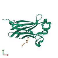 PDB entry 6i41 coloured by chain, front view.