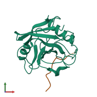 PDB entry 6i42 coloured by chain, front view.