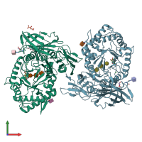 PDB entry 6i6r coloured by chain, front view.