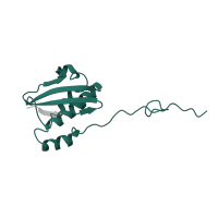 The deposited structure of PDB entry 6i7v contains 2 copies of Pfam domain PF00380 (Ribosomal protein S9/S16) in Small ribosomal subunit protein uS9. Showing 1 copy in chain N [auth AI].