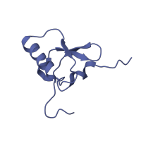 The deposited structure of PDB entry 6i7v contains 2 copies of Pfam domain PF00203 (Ribosomal protein S19) in Small ribosomal subunit protein uS19. Showing 1 copy in chain X [auth AS].