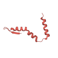 The deposited structure of PDB entry 6i7v contains 2 copies of Pfam domain PF01165 (Ribosomal protein S21) in Small ribosomal subunit protein bS21. Showing 1 copy in chain Z [auth AU].