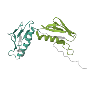 The deposited structure of PDB entry 6i7v contains 4 copies of Pfam domain PF00347 (Ribosomal protein L6) in Large ribosomal subunit protein uL6. Showing 2 copies in chain YA [auth CG].