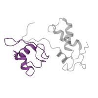 The deposited structure of PDB entry 6i7v contains 2 copies of Pfam domain PF03946 (Ribosomal protein L11, N-terminal domain) in Large ribosomal subunit protein uL11. Showing 1 copy in chain AB [auth CJ].