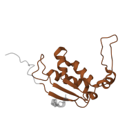 The deposited structure of PDB entry 6i7v contains 2 copies of Pfam domain PF00572 (Ribosomal protein L13) in Large ribosomal subunit protein uL13. Showing 1 copy in chain BB [auth CK].